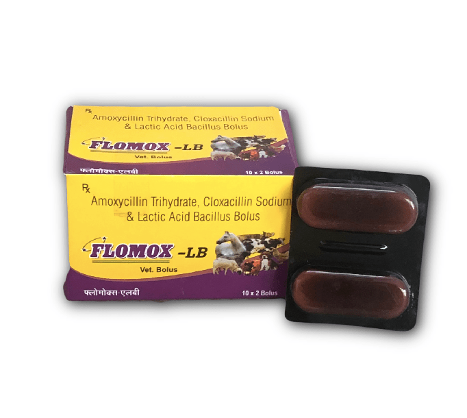 Flomox-LB Bolus